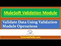 MuleSoft Validation Module Tutorial Validate Mule Messages Using Validation Operations Mule 4