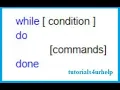 bash while loop tutorial