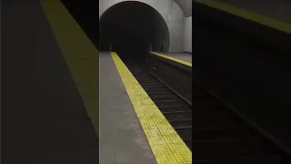 وحش الاطفال يخوف   دندنها