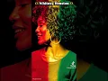 Whitney Houston - I Will Always Love You Ai Reggae Remix 