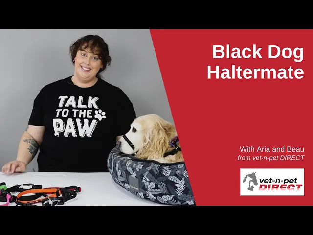 Black Dog Wear Haltermate