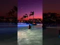 Download Lagu Embrace Egyptian nights with pink skies and moonlit pools, where serenity \u0026 silent bliss converge.✨