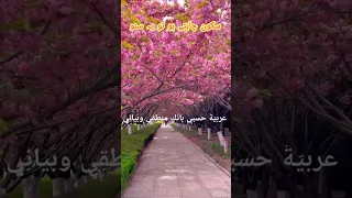 عربي ة حسبي بأن ك منط ق ي وبيان ي My Arabic Languagenasheedstatus Lonesalma Official Viralvideor 