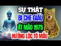 Download Lagu Bí Mật Bị Che Dấu Về Ất Mão 1975 Có Phúc Có Phần, Về Già Hưởng Lộc Tổ Tiên, Nếu biết Bí Mật Này