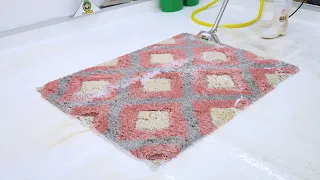 Turning This Filthy Rug SPOTLESS Again