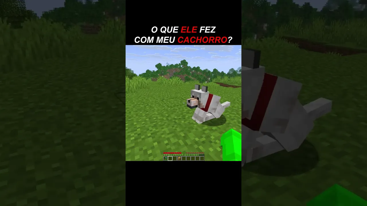 O MEU CACHORRO!!