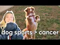 Scentwork Trials are better than cancer news
