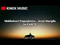 Lagu Lagu bugis || Mabbokoni Pappojimmu (Lirik) by KANCIL ft. ACCUNK
