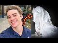 OnlyFans Star Lane V Rogers Blake Mitchell Dies at 31 in Tragic Motorcycle Accident