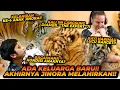 Download Lagu KELAHIRAN KE 4 JINORA ! ANAKNYA LANGSUNG DIAMBIL OLEH \