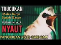 TRUCUKAN  OMBYOKAN TRUCUK BAHAN  TRUCUK PAUT BISU AGAR BUNYI DENGAR SUARA TRUCUK GACOR NGALAS INI ‼️