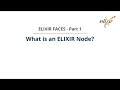 ELIXIR faces - What is an ELIXIR Node