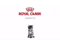 Royal Canin - Kitten