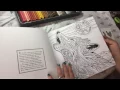 Yellowstone National Park Coloring Book Review