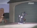 Download Lagu TOM and JERRY Jerry and the elephant JUMBO