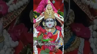 Maa Siddhidatri Inderpuri Darbar Agra Inderpuridaragra Trending Navratri Viralkardo Viralreel 