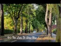 VAN MORRISON - CYPRUS AVENUE Whitla Hall, Belfast 1998 (audio only)