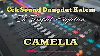 Download LAGU UNTUK CEK SOUND \ MP3