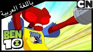 عجلات الثروة   بن       كرتون نتورك دندنها