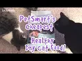 PetSmart s Cheapest Healthy Dry Cat Food Crunchies