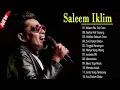 Download Lagu Saleem Iklim: Koleksi Lagu Nostalgia Terbaik Sepanjang Masa