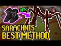 Best Method Sarachnis Quick Guide No Webs - AFK Sarachnis Guide 2025