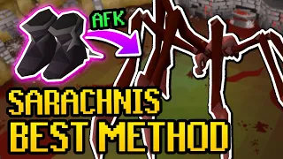 Best Method Sarachnis Quick Guide No Webs - AFK Sarachnis Guide 2025
