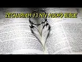 ZECHARIAH 13 NIV BIBLE with text