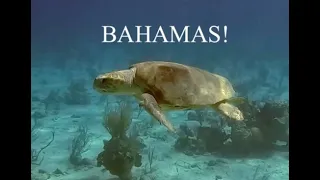 Last of the Bahamas 2025