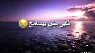 قلبك بحر مالح قلبى فيكى سايح   دندنها