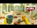 What Happened Here And How Do I Clean It... - Crime Scene Cleaner (Ep.7)