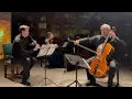 LUDWIG van BEETHOVEN - Trio in Bb major Op. 11 - I. Allegro con brio (part 1)