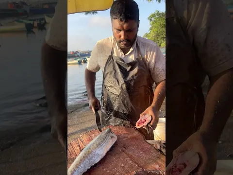 Super King Fish Cutting Vibe Style #vibe #fishcutting #youtubeshorts
