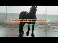 FAST BOY & Topic - Forget You (FAST BOY VIP Mix