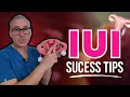 5 Ways To Boost Your IUI Success Rate Maximize Your Chances Of Getting Pregnant