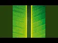 Download Lagu Alunan (Pan Flute)