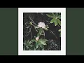 Download Lagu Ode à l’été