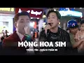 Download Lagu Mộng Hoa Sim | Quách Tuấn Du Ft Trung Tín đêm sinh sinh nhật trên phố tiệm vàng Trung Thanh Thanh 