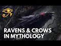 Ravens Crows in Mythology Folklore