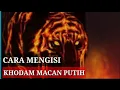 Download Lagu Amalan Untuk Pengisian Khodam Macan Putih