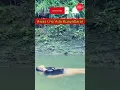 Download Lagu Buaya Betina#mandi #sungai @adultfunnyshorts @JITIVOZ @WOKOCHANNEL@DreamART18 @mbakmonik@flowernight