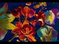 Off Your Face - My Bloody Valentine(slowed+chorus+reverb)