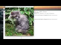 Python07 - Image Processing