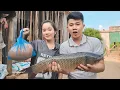 Download Lagu Mang Con Cá Trắm 5kg Qua Nhà Em Phương , Tưởng Giao Cá Ai Ngờ Giao Duyên