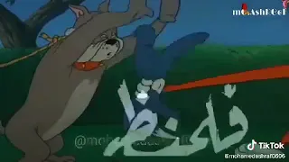 بتهزار هجيب الكهرباء ونوصل حاله واتس دندنها