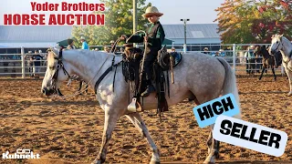 Highest Seller from the 2024 Yoder Brothers Horse Auction