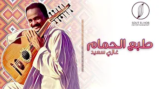 طبع الحمام غازي سعيد Tabaa El Hamam Ghazi Saaid 