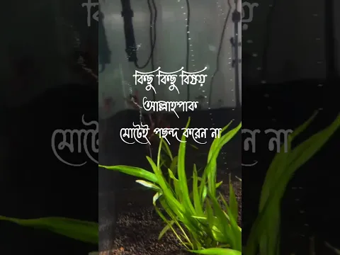 #shorts #shortvideo #short #shortsfeed
