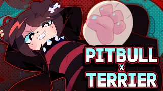 PITBULL TERRIER // ANIMATION