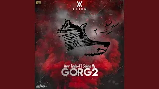 Gorg 2 Feat Sohrab Mj 